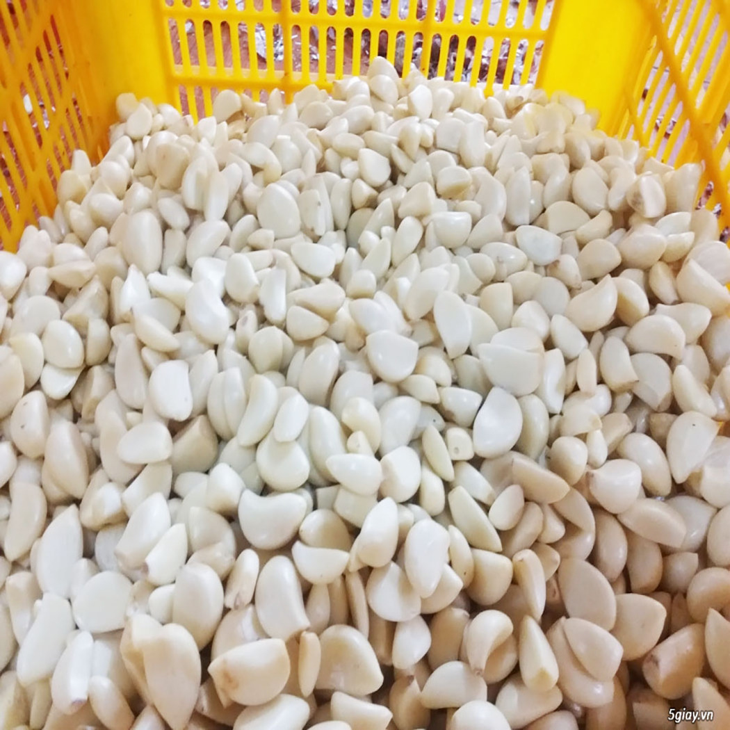 New crop fresh  peeled garlic cloves peel garlic fresh for wholesale with low price