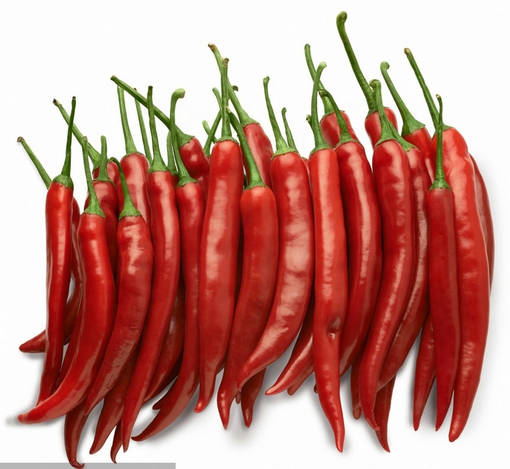 RED DRIED CHILLI / CHILLI CHINA / RED CHILLI PRICE