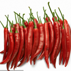 RED DRIED CHILLI / CHILLI CHINA / RED CHILLI PRICE