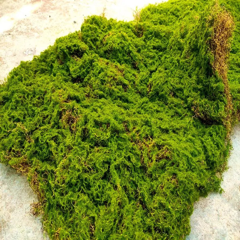 Artificial Moss Factory Artificial Moss Green Emulational Lawn Background Wall Window Green Plant 3D Art Decoration simul