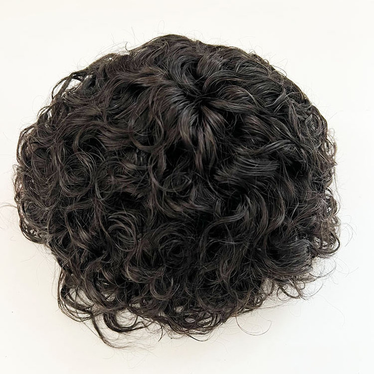 Wholesale Natural Black Short Curly Toupee Brazilian Cuticle Aligned Raw Virgin Hair Men Toupee