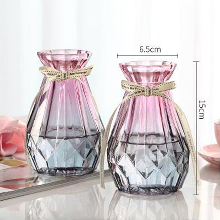 Manufacturers wholesale Nordic hydroponic glass vase color dry vase desktop small fresh home living room decoration