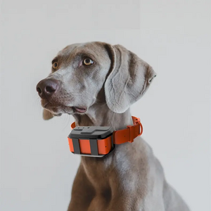 Real-time Location Tracker Gps Smart Tracker for Pets Gps Location Tracker for Large Dogs