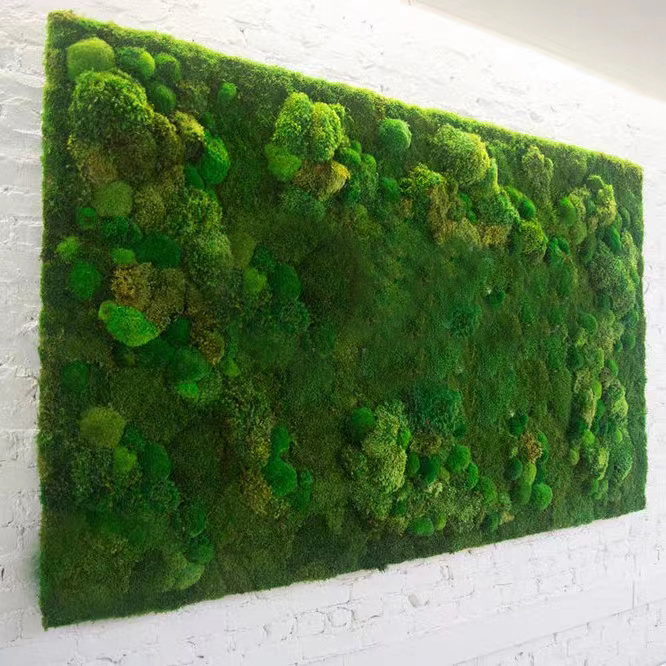 Free size customized artificial real preserved moss wall art moss Picture Frame decorations panel artificial moss grass wall