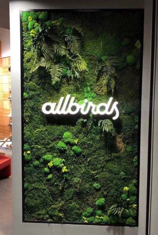 Customized finished moss decorations real natural moss wall art frame wall moss panel for home office decor