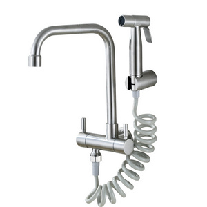 Wall Mounted Modern Design BasinFaucet Cold Water Only Bidet Faucet Stainless Steel Sink Faucet With Bidet Sprayer