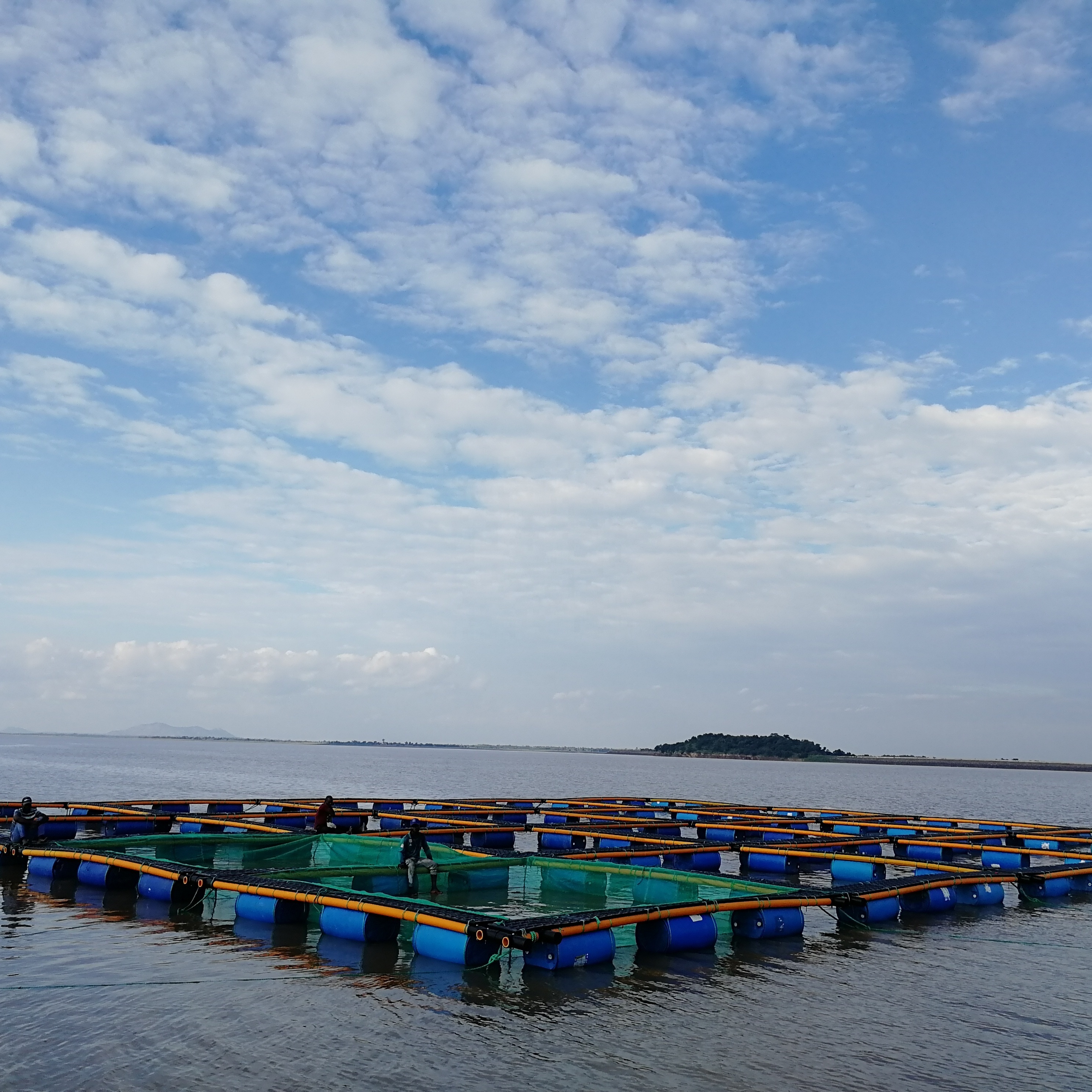 Qihang Floating Sea Cucumber and Abalone Cage Net