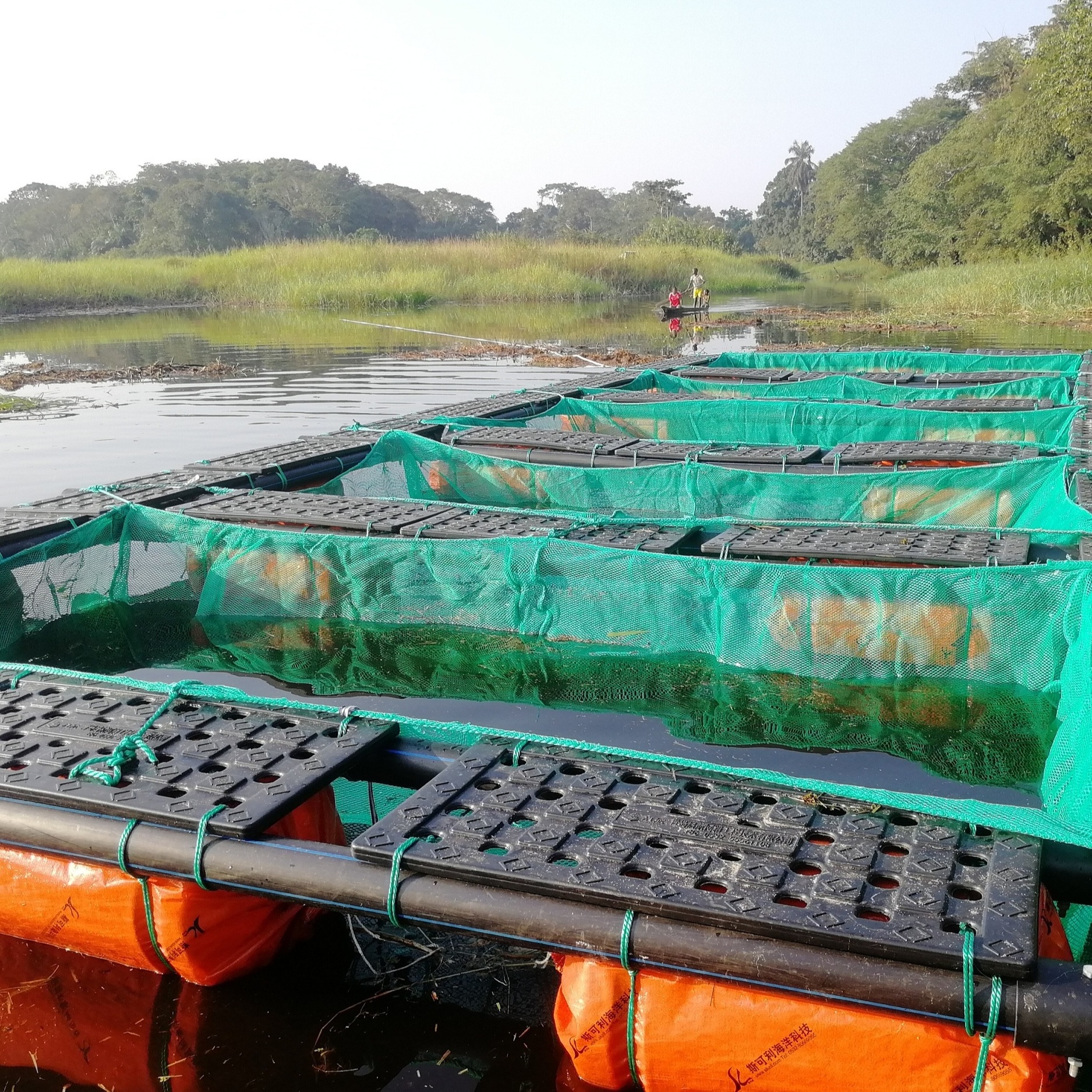 Qihang Floating Sea Cucumber and Abalone Cage Net