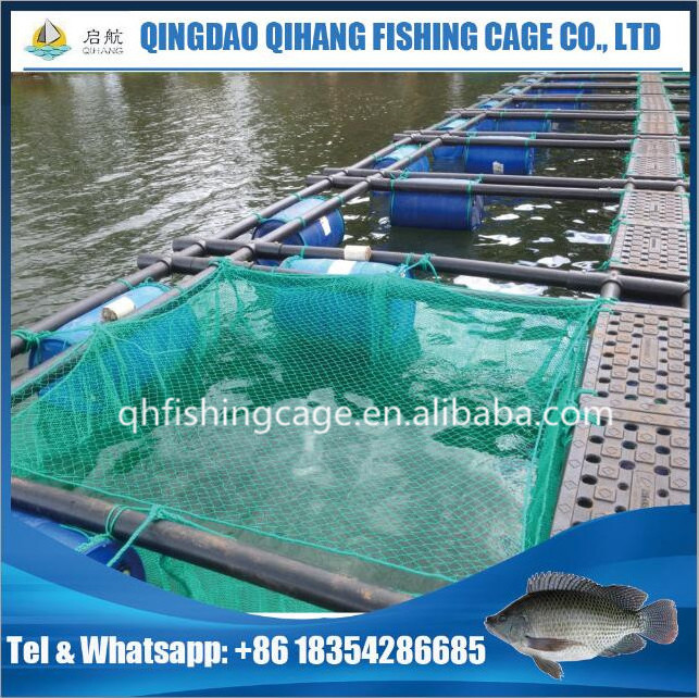 HDPE cage for fish, tilapia fish farming equipment hot sale