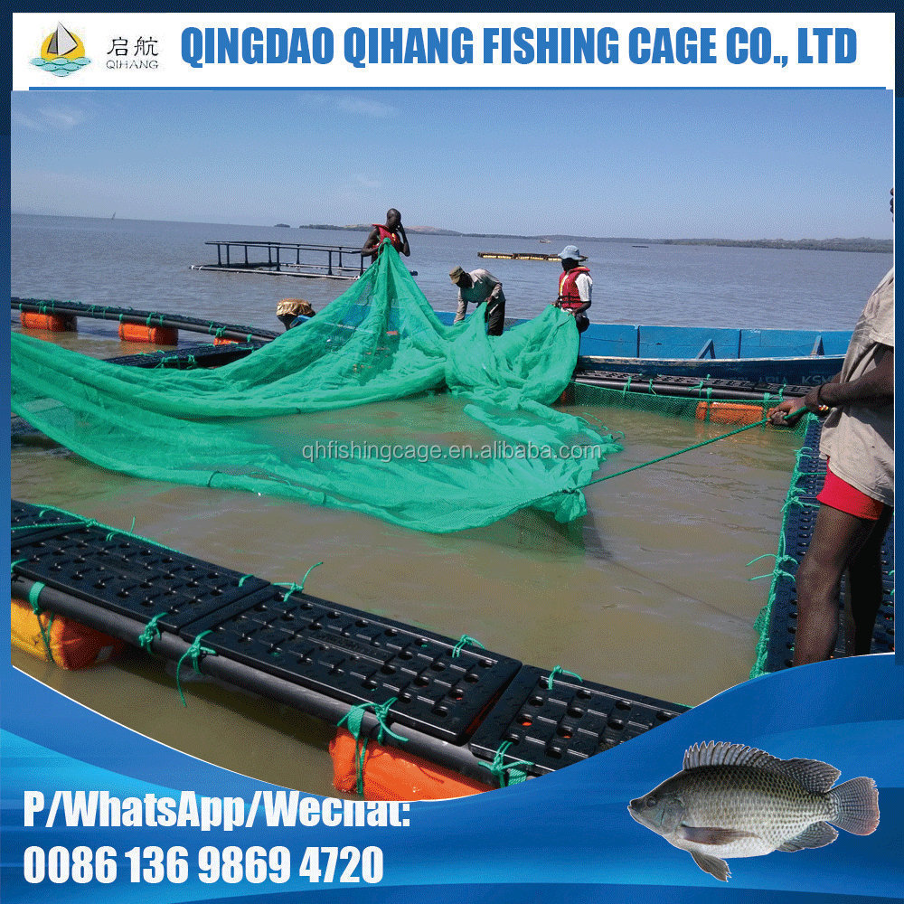 Qihang Floating Sea Cucumber and Abalone Cage Net