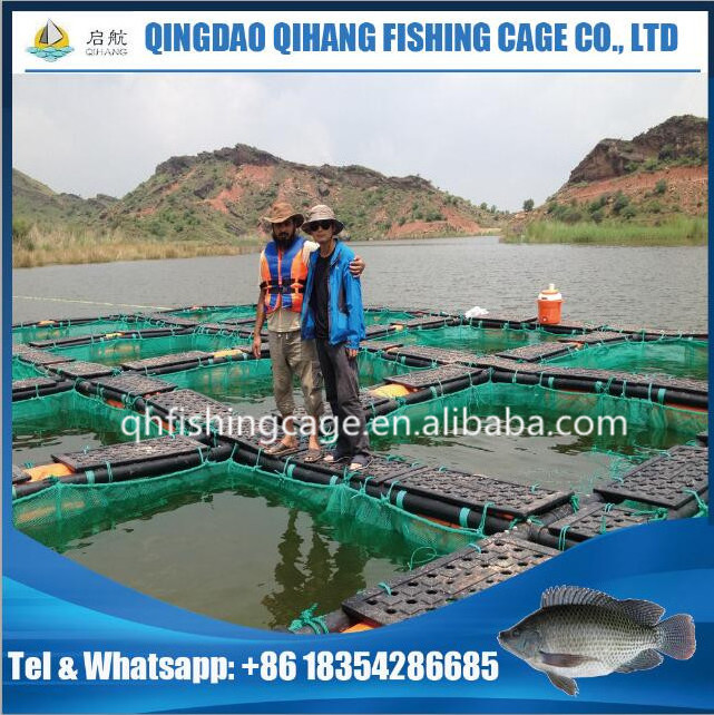 HDPE cage for fish, tilapia fish farming equipment hot sale