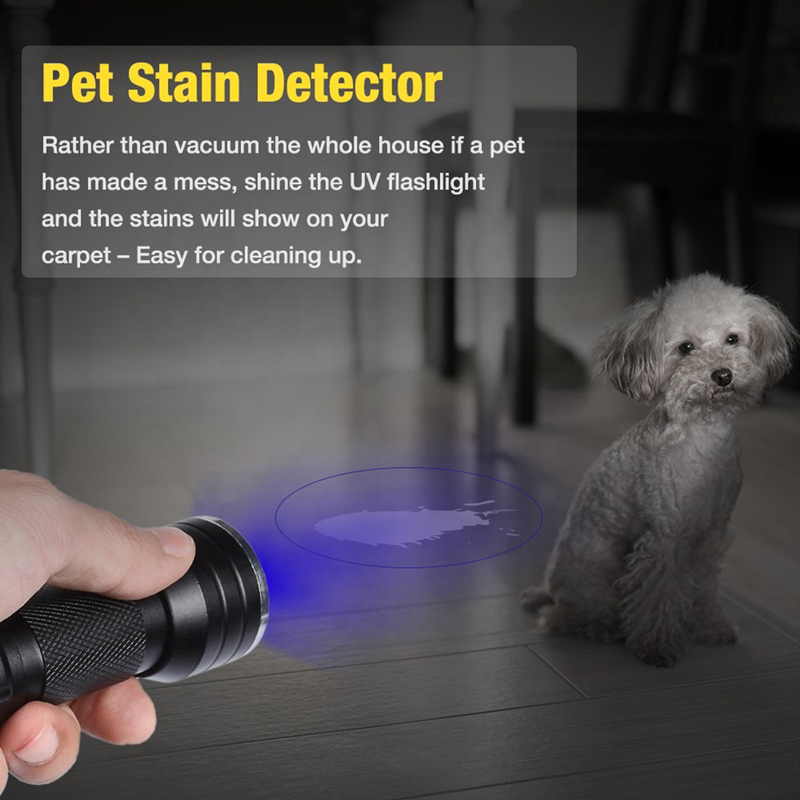 Ultra Violet Black Light 21 LED 395nm Flashlight 3*AAA Pet Urine Stains Detector Scorpion Hunting Torch Light UV Flashlight