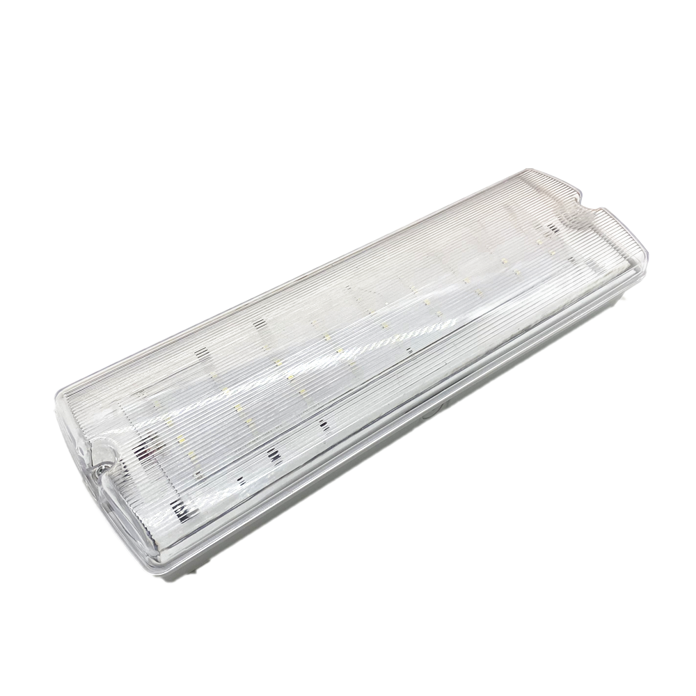 Highly Rated IP65 Waterproof LED Emergency Light Customizable with Emergency Paper