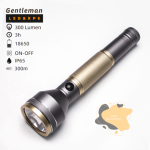 Customization Multifunctional Rechargeable 2SC 3SC 4SC 5SC Heavy Duty Torch Light 230 Lumens LED Flashlight