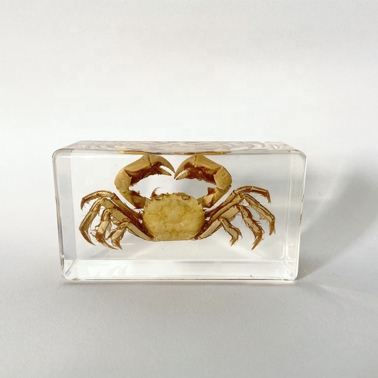 Factory Direct Marine Animal Clear Glass Craft Gifts Crab Embedded Paperweight for Collectibles