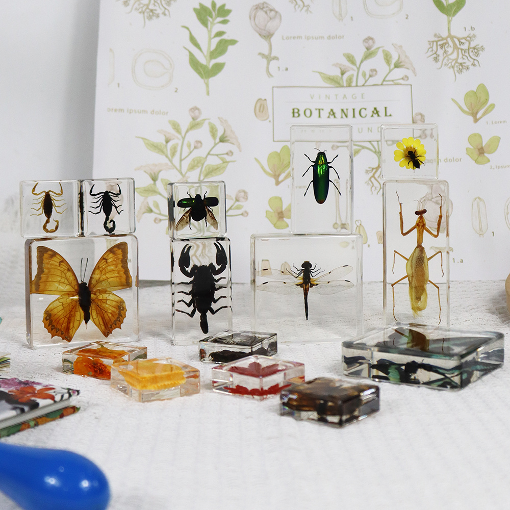 Dried Insect Specimen Clear Crystal Souvenir Gifts Long-horned Beetle Paperweight for Display