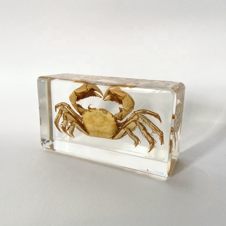 Factory Direct Marine Animal Clear Glass Craft Gifts Crab Embedded Paperweight for Collectibles