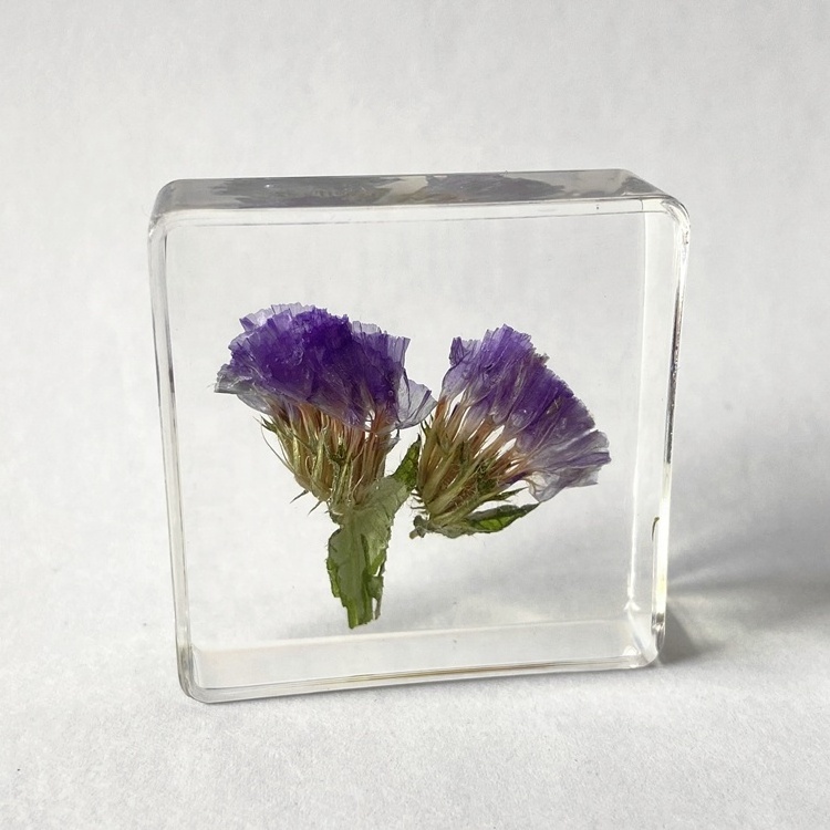 Dried Flower Transparent Acrylic Promotional Gift  Forget-me-not Paperweight for Collection