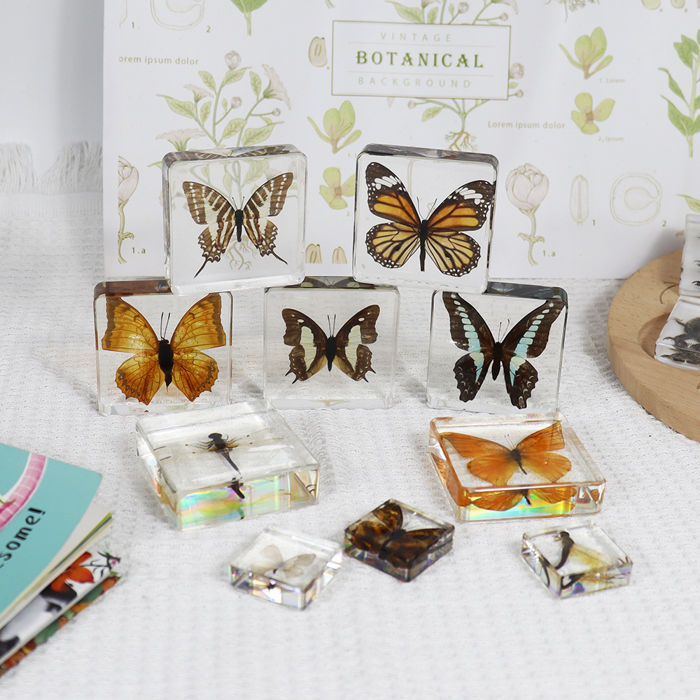 Real Dried Butterfly Clear Glass Craft Gifts Pieris rapae Embedded Paperweight for Collection