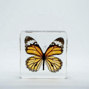 Dried Butterfly Clear Crystal  Promotional Souvenir Danaus Genutia Paperweight for Holiday