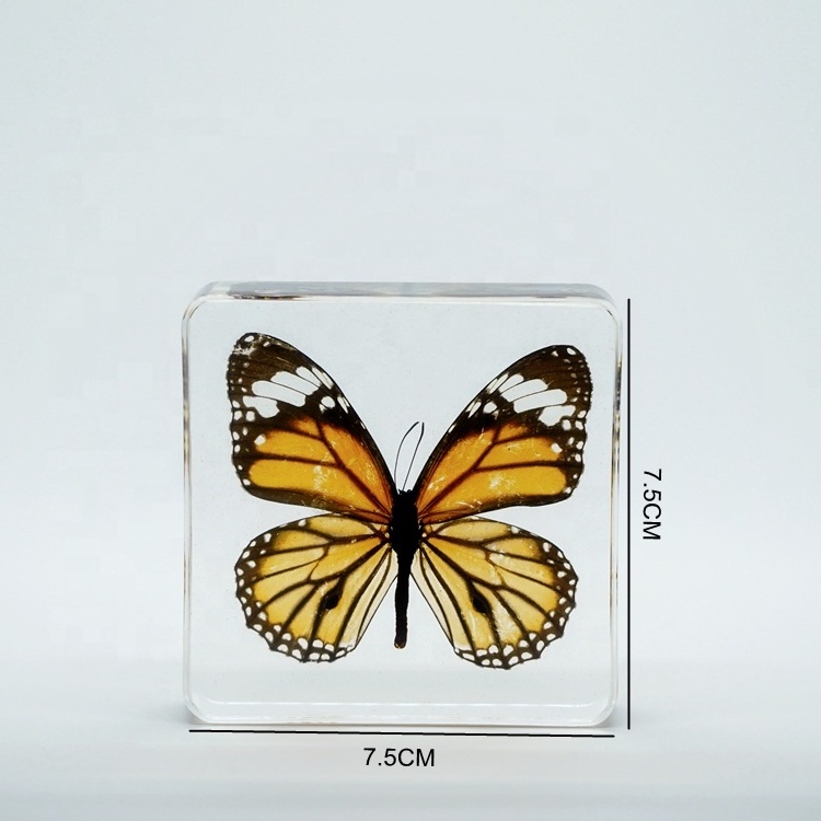 Dried Butterfly Clear Crystal  Promotional Souvenir Danaus Genutia Paperweight for Holiday