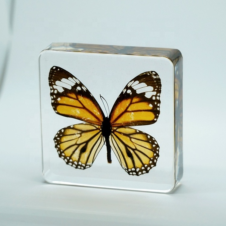 Dried Butterfly Clear Crystal  Promotional Souvenir Danaus Genutia Paperweight for Holiday