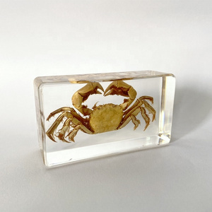 Factory Direct Marine Animal Clear Glass Craft Gifts Crab Embedded Paperweight for Collectibles