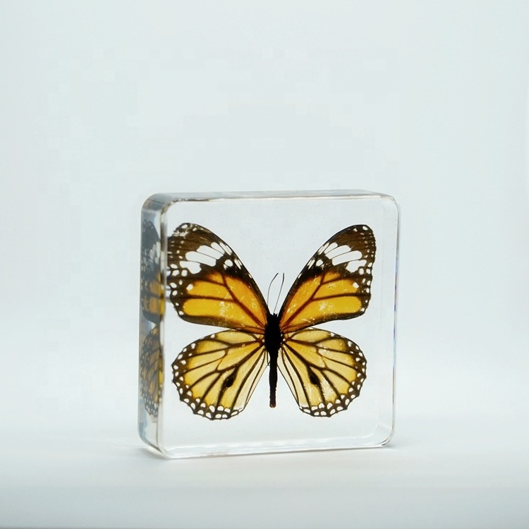 Dried Butterfly Clear Crystal  Promotional Souvenir Danaus Genutia Paperweight for Holiday