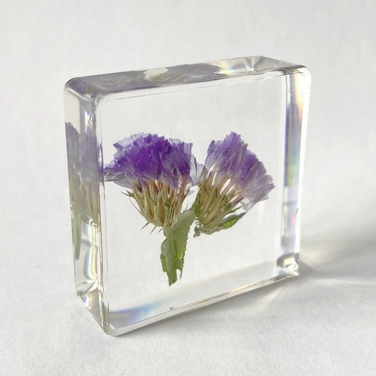 Dried Flower Transparent Acrylic Promotional Gift  Forget-me-not Paperweight for Collection