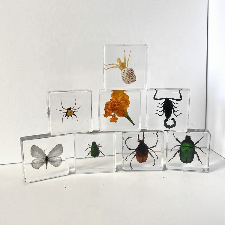 3D Touch Real Bug Clear Acrylic Creative Gifts Scorpion Paperweight for Collection