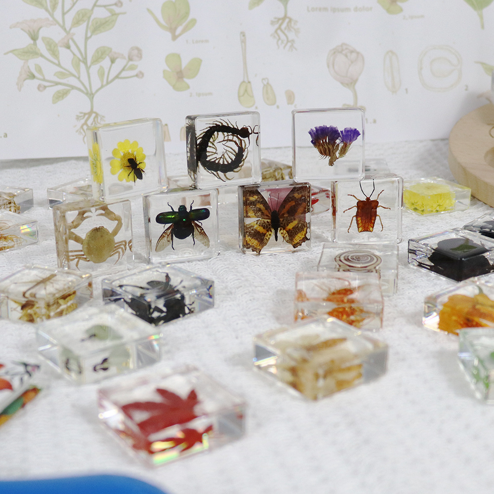 Real Dried Butterfly Clear Glass Craft Gifts Pieris rapae Embedded Paperweight for Collection