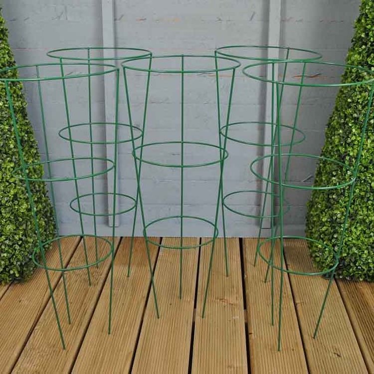 Garden Plant Support Frame tomato support plant protect cage