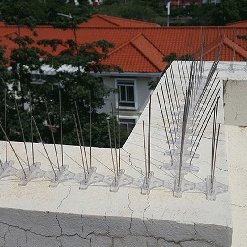 Plastic decorative stainless steel wire pests control bird repellent spikes anti pigeon stainless steel bird spike