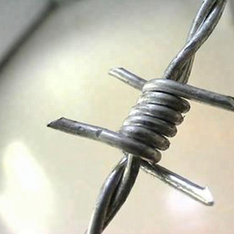 High quality and low price galvanized barbed wire 500m/1000m per roll