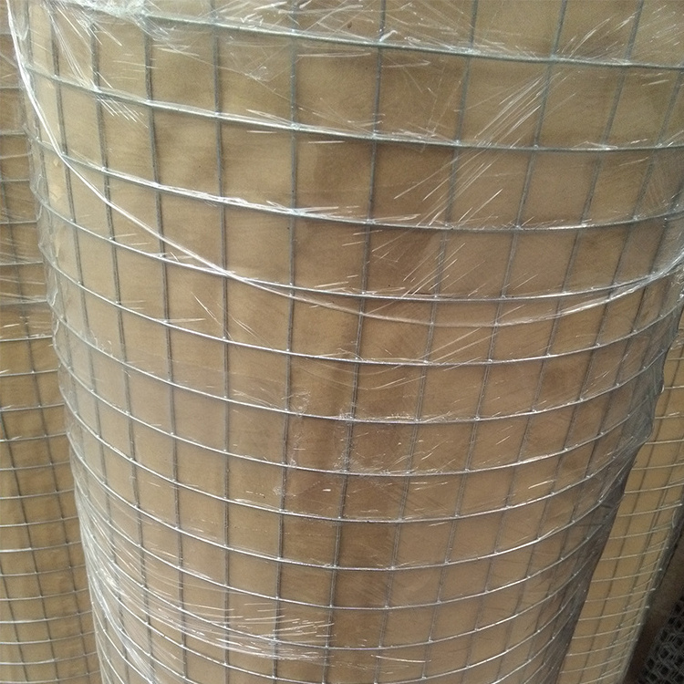 Wire mesh fence 1 x 25 m electro galvanized hot dipped square grid net