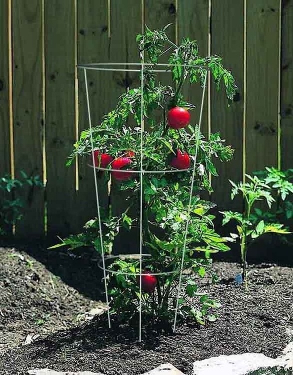 China supplier garden 33 inch tomato plant support tomato cage small