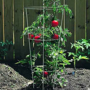 China supplier garden 33 inch tomato plant support tomato cage small