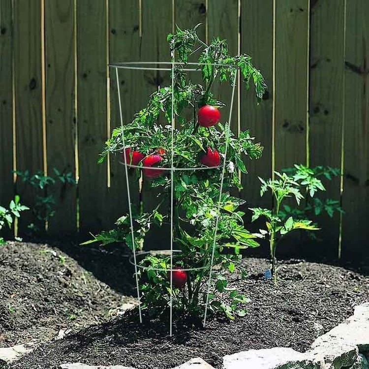 Garden Plant Support Frame tomato support plant protect cage