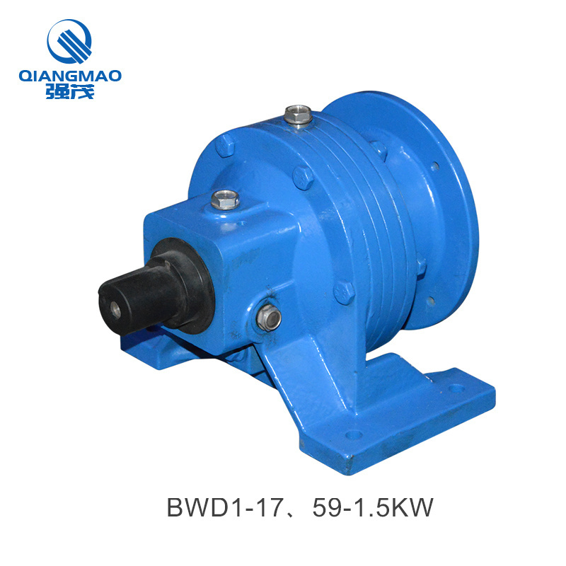 Vertical Horizontal Small Speed Reducer BWD Series Cycloid Reducer Planetary Cycloid Gearbox Reducer