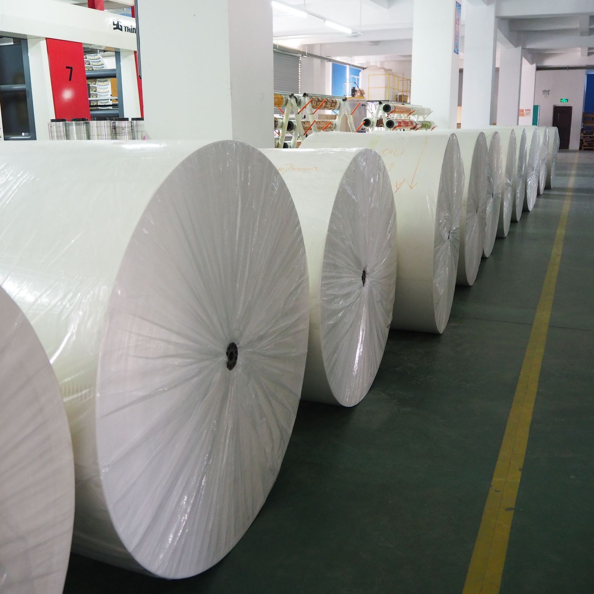 Qiang qiang paper Factory Wholesale solid bleached sulfate SBS white paper roll for box