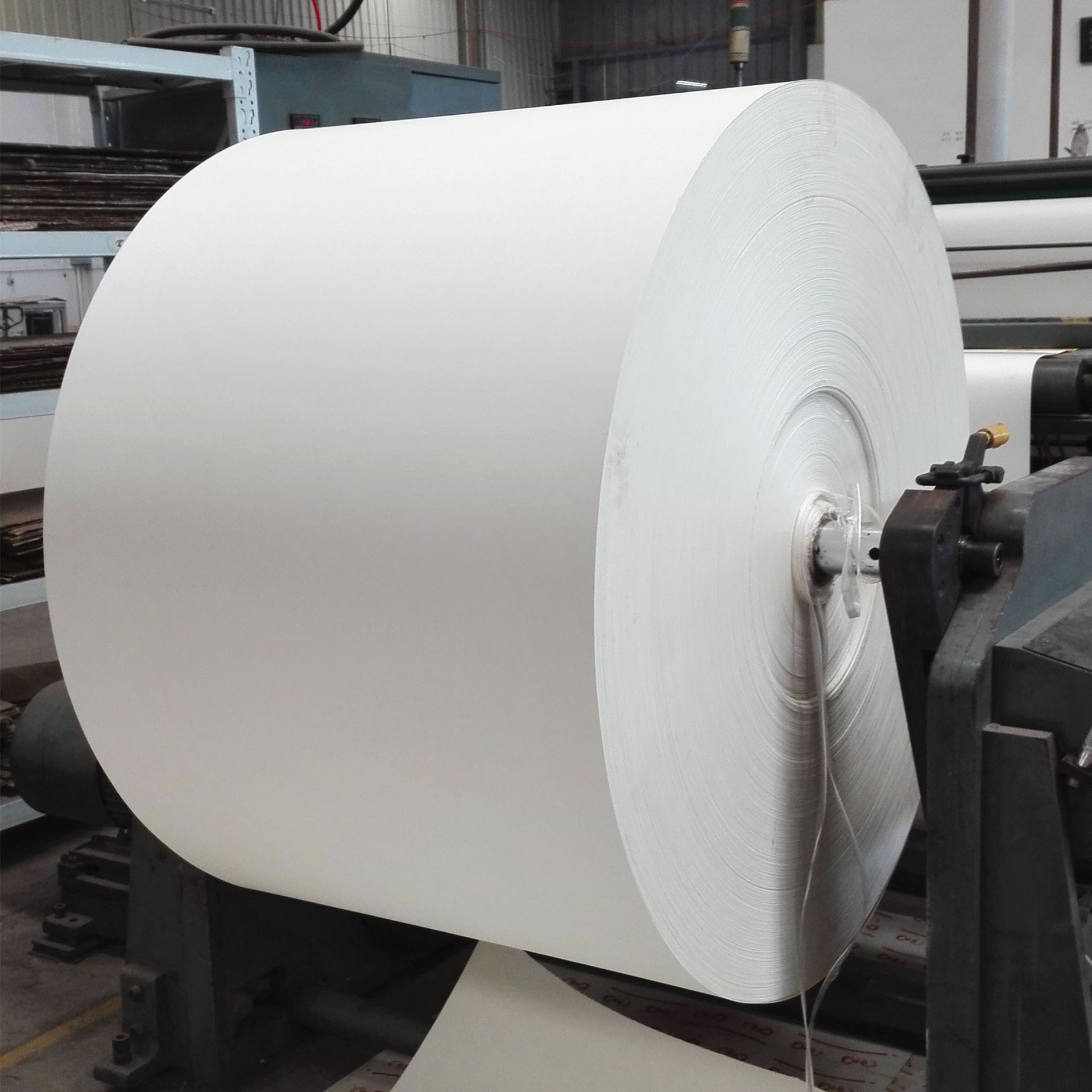 Qiang qiang paper Hot sales raw material single PE coated paper roll for cup making