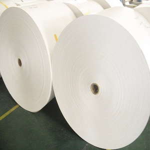 Qiang qiang paper Hot sales raw material single PE coated paper roll for cup making