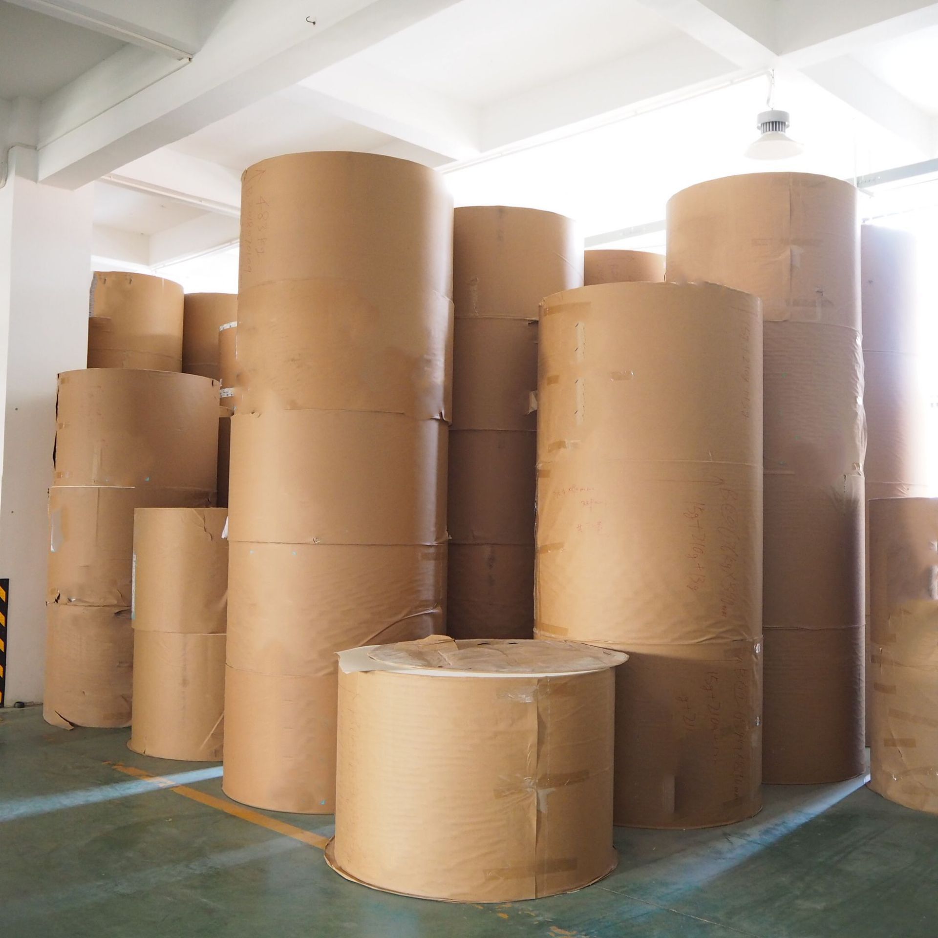 Qiang qiang paper Factory Wholesale solid bleached sulfate SBS white paper roll for box