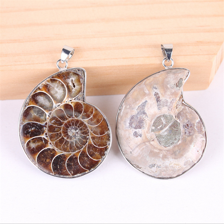 Natural Random Ammonite Fossils Screw Stone Pendant Crystal Cabochon Seashell Conch Stone Pendant