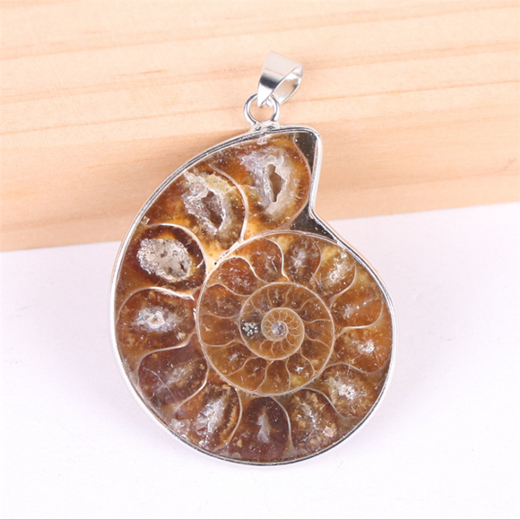 Natural Random Ammonite Fossils Screw Stone Pendant Crystal Cabochon Seashell Conch Stone Pendant