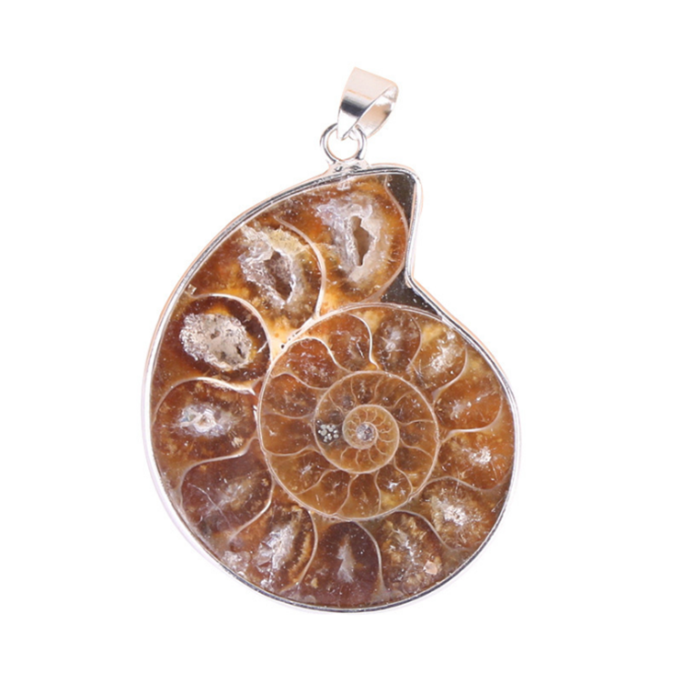 Natural Random Ammonite Fossils Screw Stone Pendant Crystal Cabochon Seashell Conch Stone Pendant