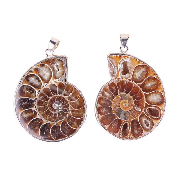 Natural Random Ammonite Fossils Screw Stone Pendant Crystal Cabochon Seashell Conch Stone Pendant