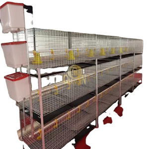 Automatic Poultry Feeding H Type Chick/Chicken Cage For Raising Chicks Farm