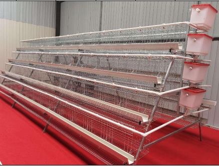 96 Laying Hen Cages for Sale/ Poultry Battery Cage for Sale/Layer Chicken Cage Prices