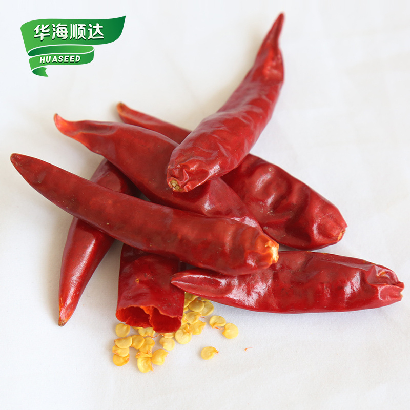 Wholesale The Latest Ex-Factory Price Red Chili Fire Sichuan Spicy Dry Chili